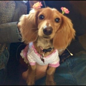 Meet your Posher, Noelia